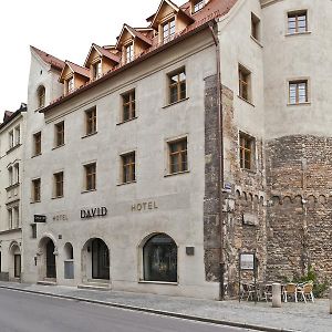 Hotel David an der Donau